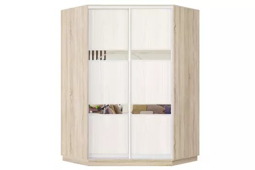 Шкаф-купе 2-дверный Практик 71