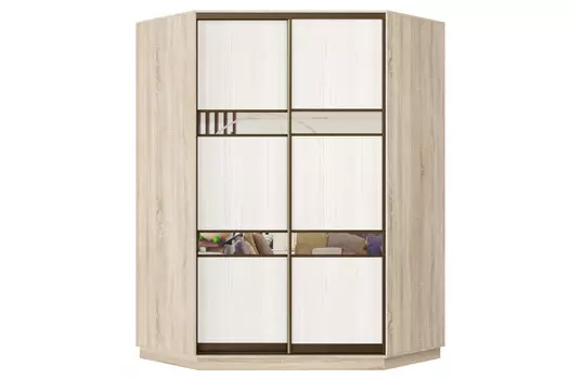 Шкаф-купе 2-дверный Практик 71