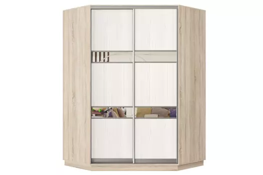 Шкаф-купе 2-дверный Практик 71