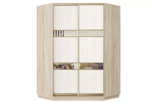 Шкаф-купе 2-дверный Практик 71