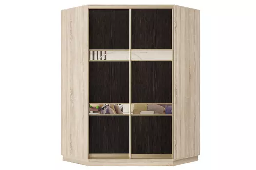Шкаф-купе 2-дверный Практик 71