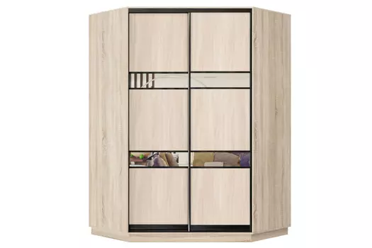 Шкаф-купе 2-дверный Практик 71