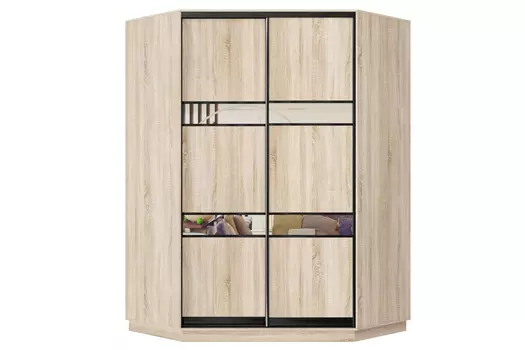 Шкаф-купе 2-дверный Практик 71