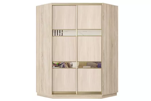 Шкаф-купе 2-дверный Практик 71