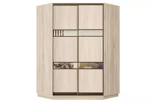 Шкаф-купе 2-дверный Практик 71