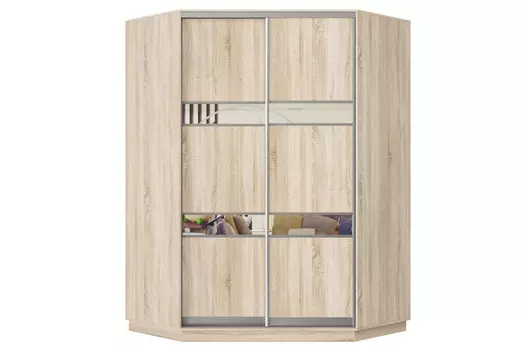 Шкаф-купе 2-дверный Практик 71