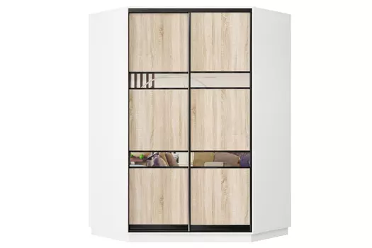 Шкаф-купе 2-дверный Практик 71