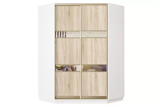 Шкаф-купе 2-дверный Практик 71