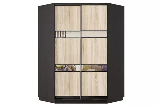 Шкаф-купе 2-дверный Практик 71