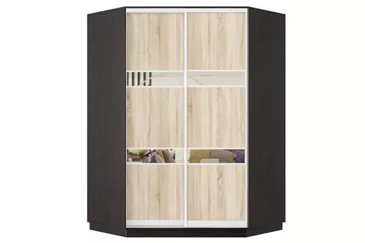 Шкаф-купе 2-дверный Практик 71