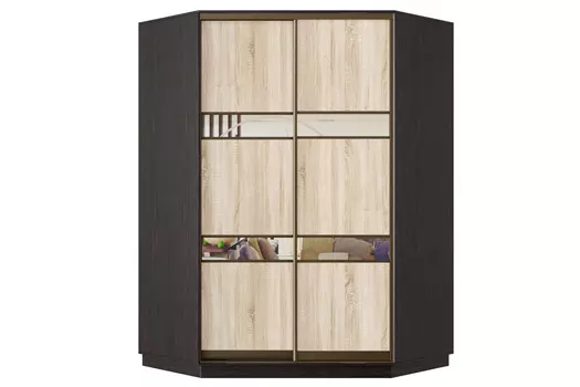 Шкаф-купе 2-дверный Практик 71