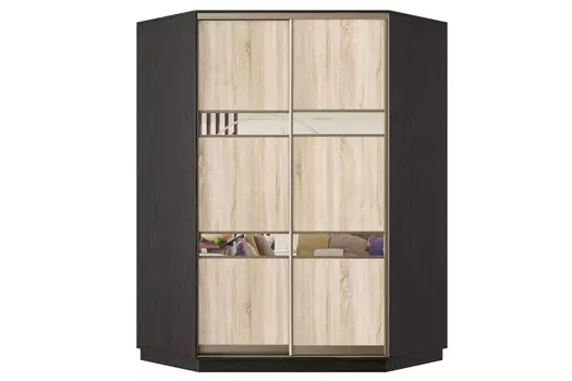 Шкаф-купе 2-дверный Практик 71