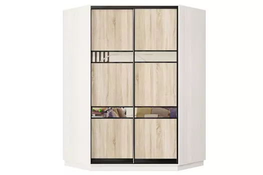 Шкаф-купе 2-дверный Практик 71