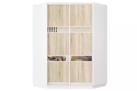 Шкаф-купе 2-дверный Практик 71