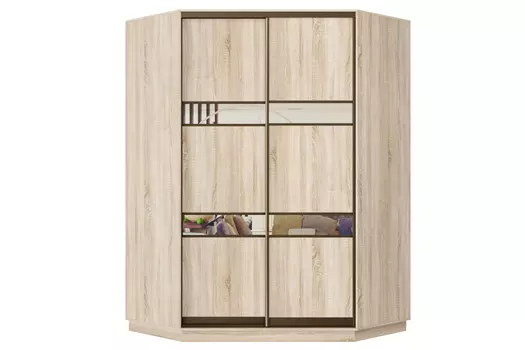 Шкаф-купе 2-дверный Практик 71