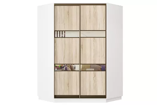 Шкаф-купе 2-дверный Практик 71