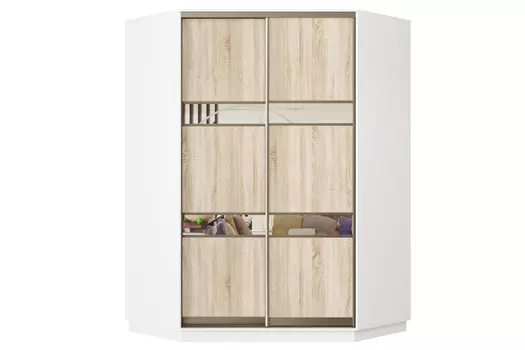 Шкаф-купе 2-дверный Практик 71