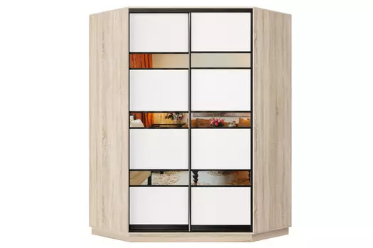 Шкаф-купе 2-дверный Практик 71