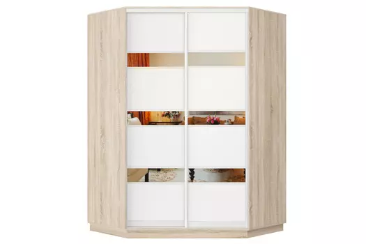 Шкаф-купе 2-дверный Практик 71