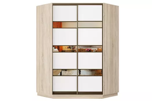 Шкаф-купе 2-дверный Практик 71