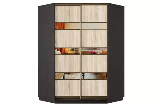 Шкаф-купе 2-дверный Практик 71