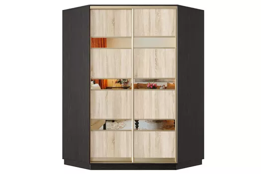 Шкаф-купе 2-дверный Практик 71