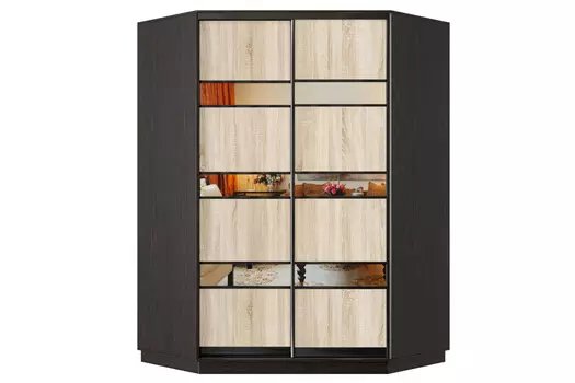 Шкаф-купе 2-дверный Практик 71