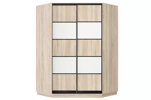 Шкаф-купе 2-дверный Практик 71