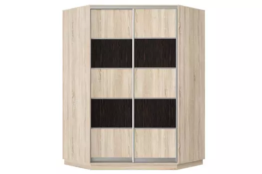 Шкаф-купе 2-дверный Практик 71