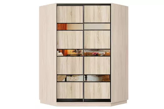 Шкаф-купе 2-дверный Практик 71