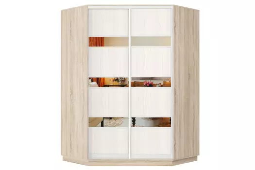 Шкаф-купе 2-дверный Практик 71