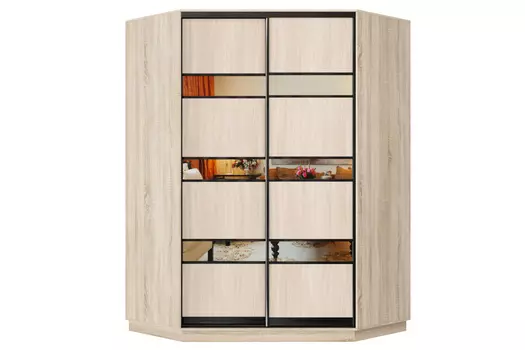 Шкаф-купе 2-дверный Практик 71