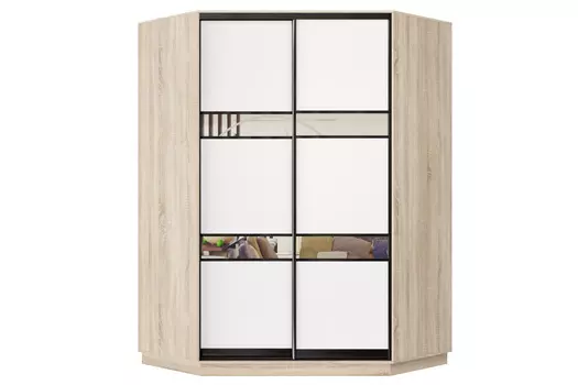 Шкаф-купе 2-дверный Практик 71