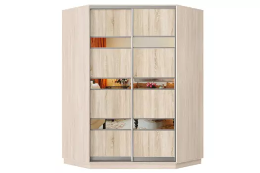 Шкаф-купе 2-дверный Практик 71