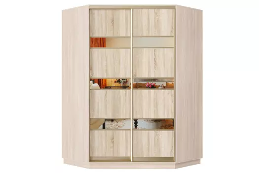 Шкаф-купе 2-дверный Практик 71