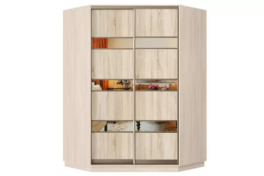 Шкаф-купе 2-дверный Практик 71