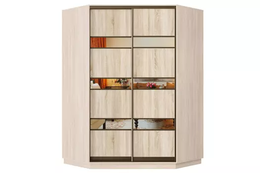 Шкаф-купе 2-дверный Практик 71