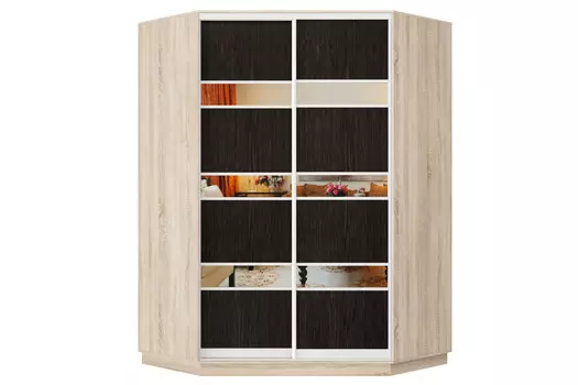 Шкаф-купе 2-дверный Практик 71