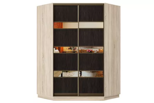 Шкаф-купе 2-дверный Практик 71