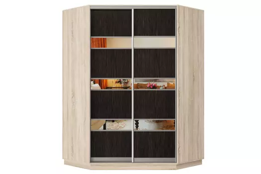 Шкаф-купе 2-дверный Практик 71