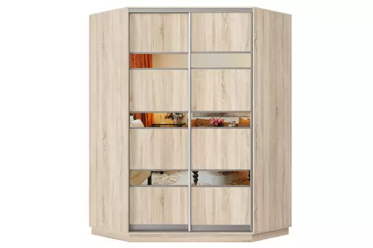 Шкаф-купе 2-дверный Практик 71