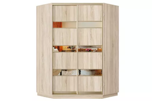 Шкаф-купе 2-дверный Практик 71