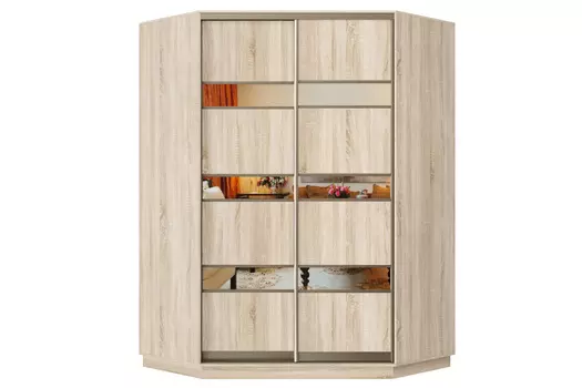 Шкаф-купе 2-дверный Практик 71