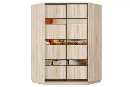 Шкаф-купе 2-дверный Практик 71