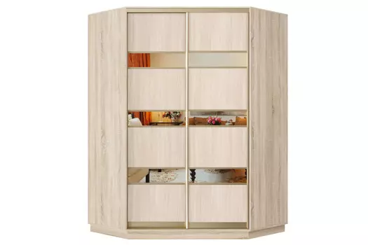 Шкаф-купе 2-дверный Практик 71
