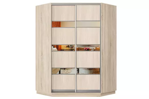 Шкаф-купе 2-дверный Практик 71
