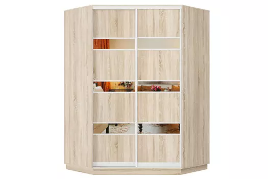 Шкаф-купе 2-дверный Практик 71
