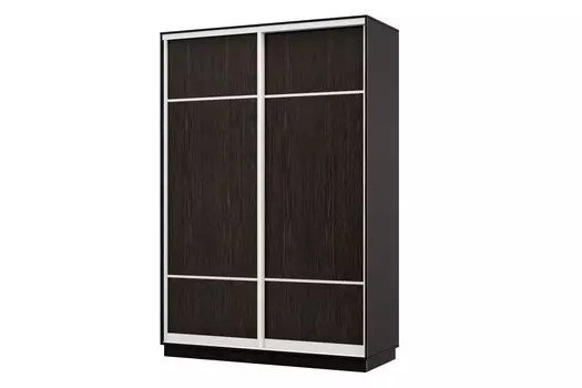 Шкаф-купе 2-дверный Практик МИНИ