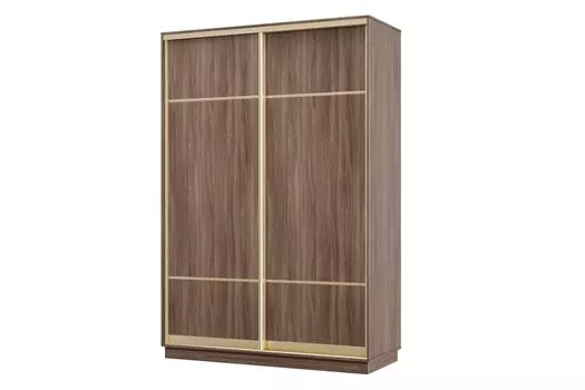 Шкаф-купе 2-дверный Практик МИНИ