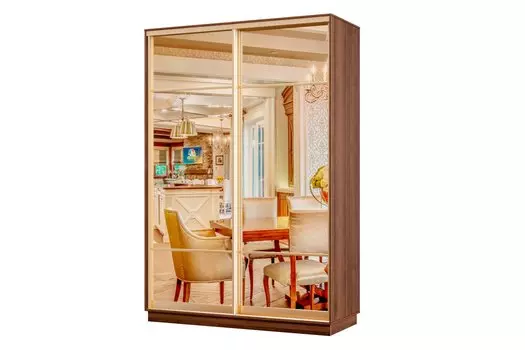 Шкаф-купе 2-дверный Практик МИНИ